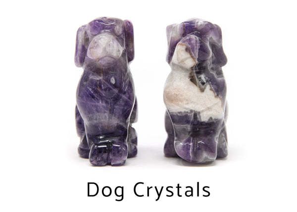 Dog Crystals 
