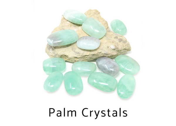 Palm Crystals 
