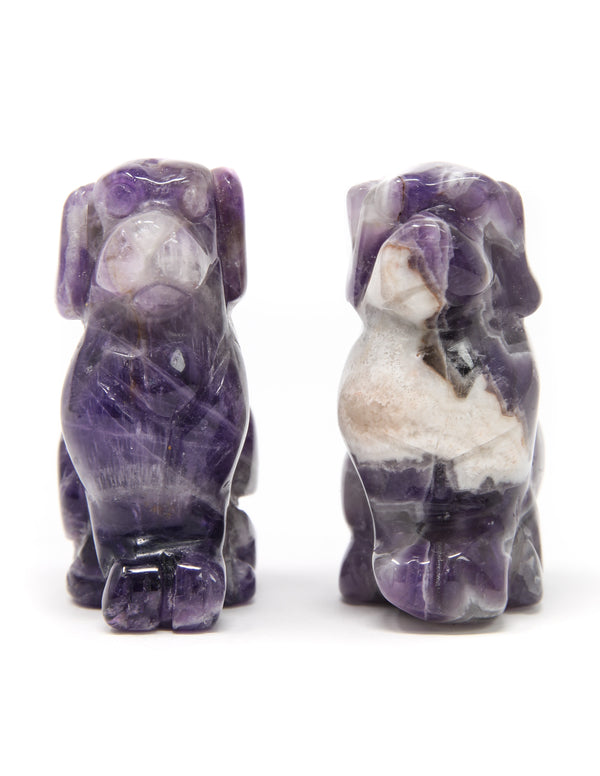 Amethyst Dog