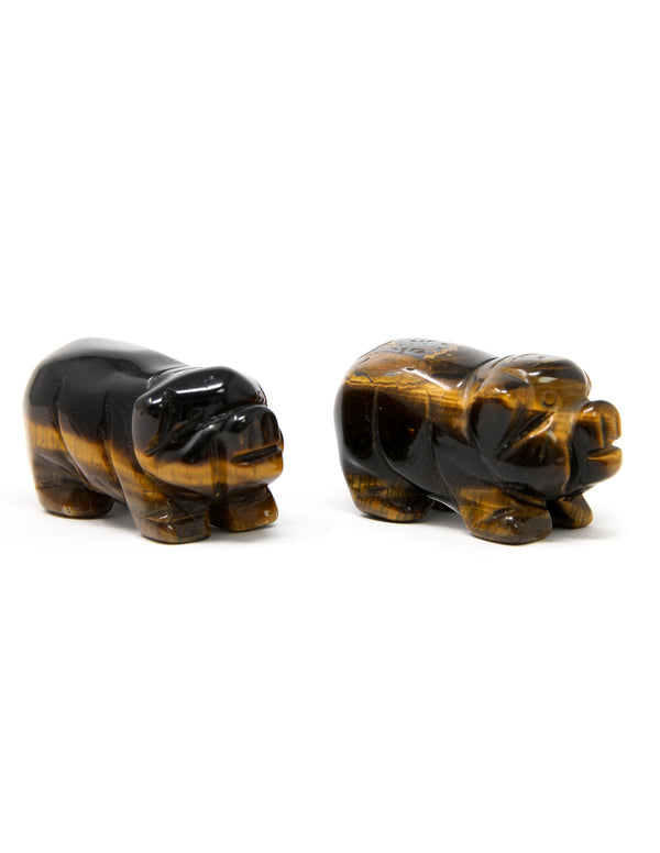 Golden Tiger's Eye Pig