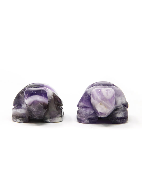 Amethyst Turtle