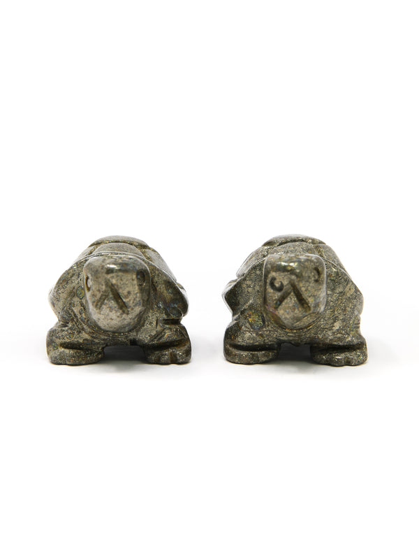 Pyrite Turtle