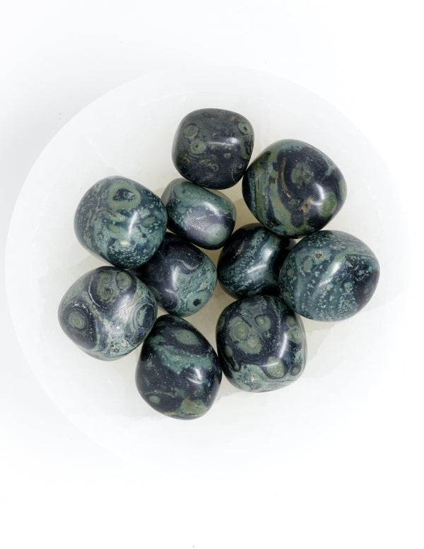 Kambaba Jasper Pocket Stone