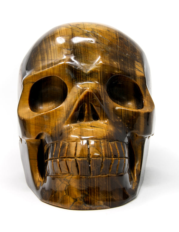 Golden Tiger's Eye Skull Large